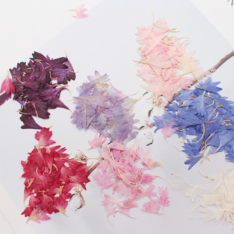 20個入り、コーンフラワーの花びらの標本。天然の乾燥花、ネイ - Resin Art Baby のレビューと価格